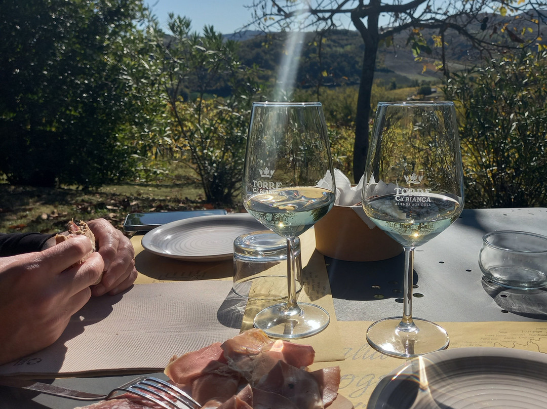 Azienda Agricola Fedrizzi Alessandro-Castello di Serravalle必去景点