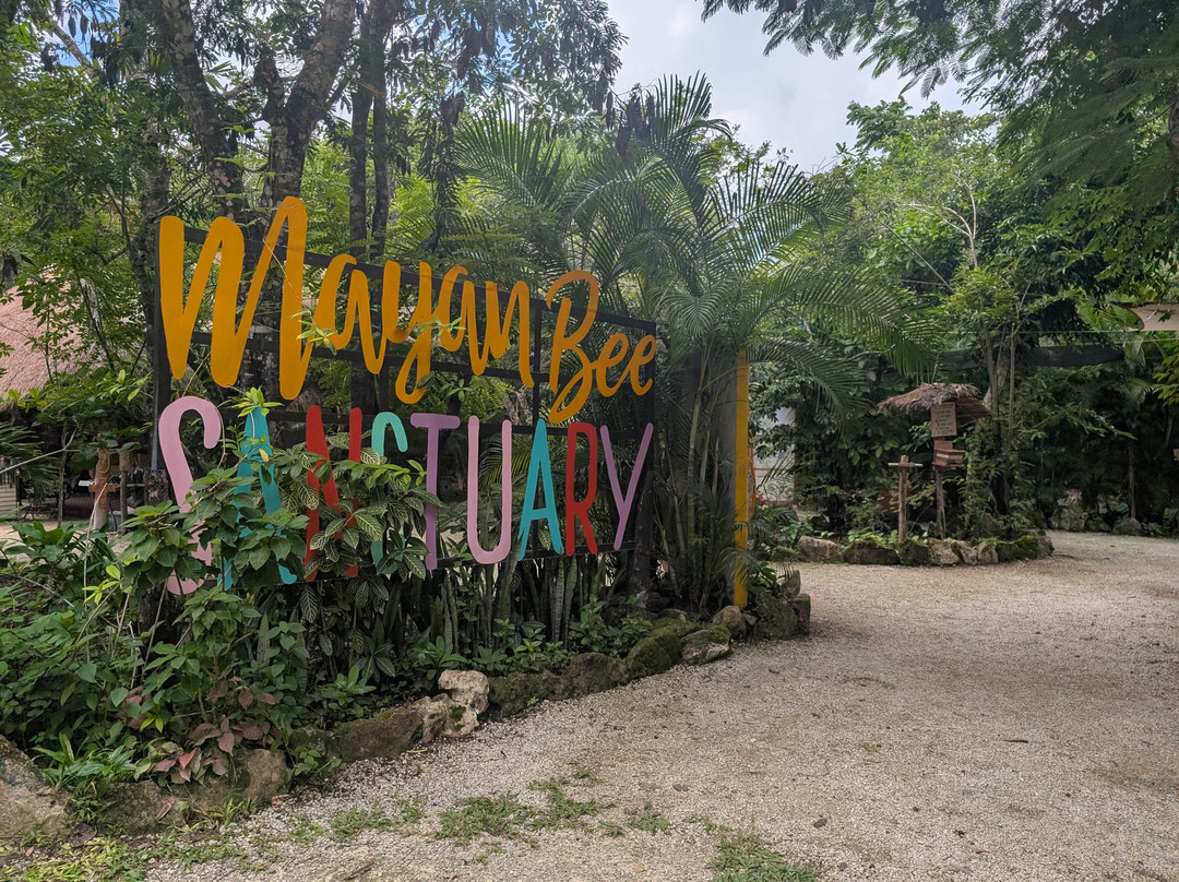 Mayan Bee Sanctuary-San Miguel de Cozumel必去景点