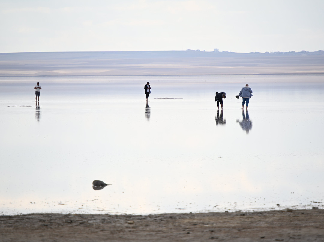 Tuz Golu-科尼亚必去景点