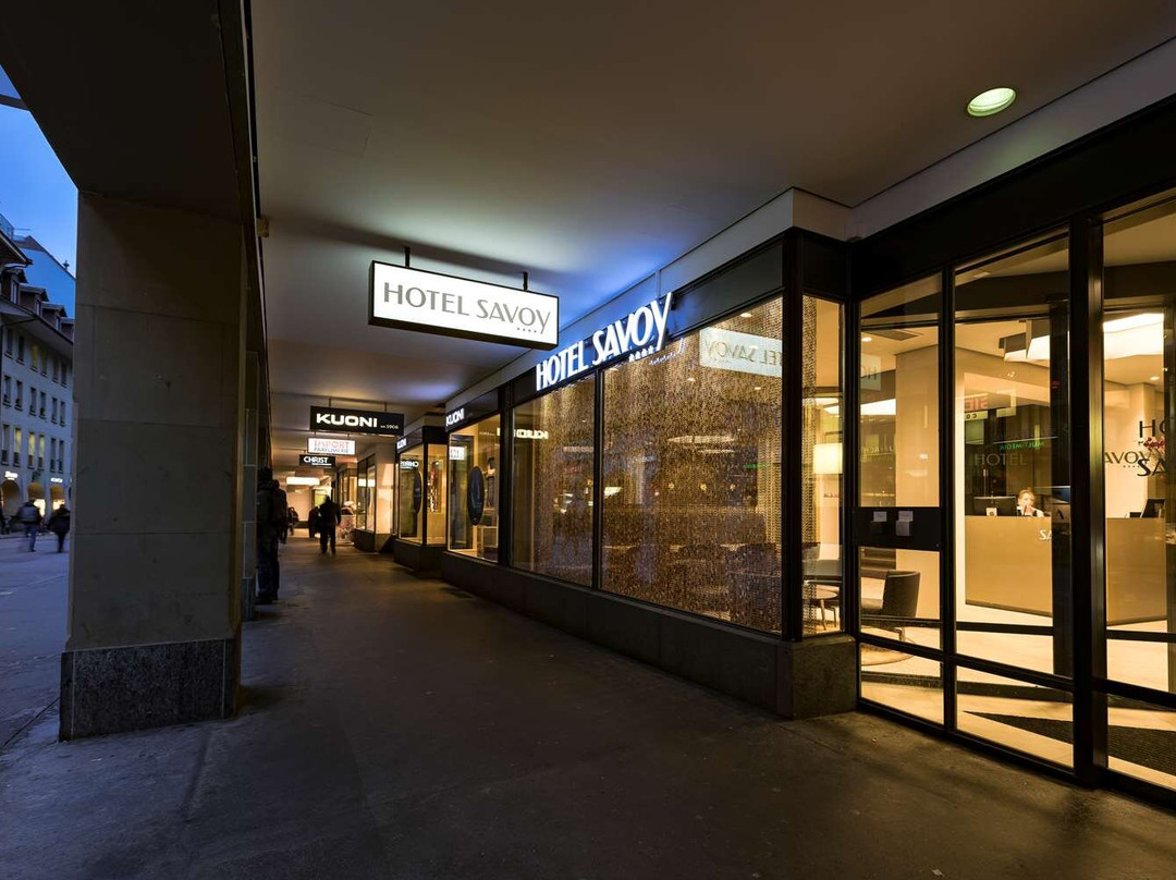 伯尔尼酒店住宿-萨沃尔酒店