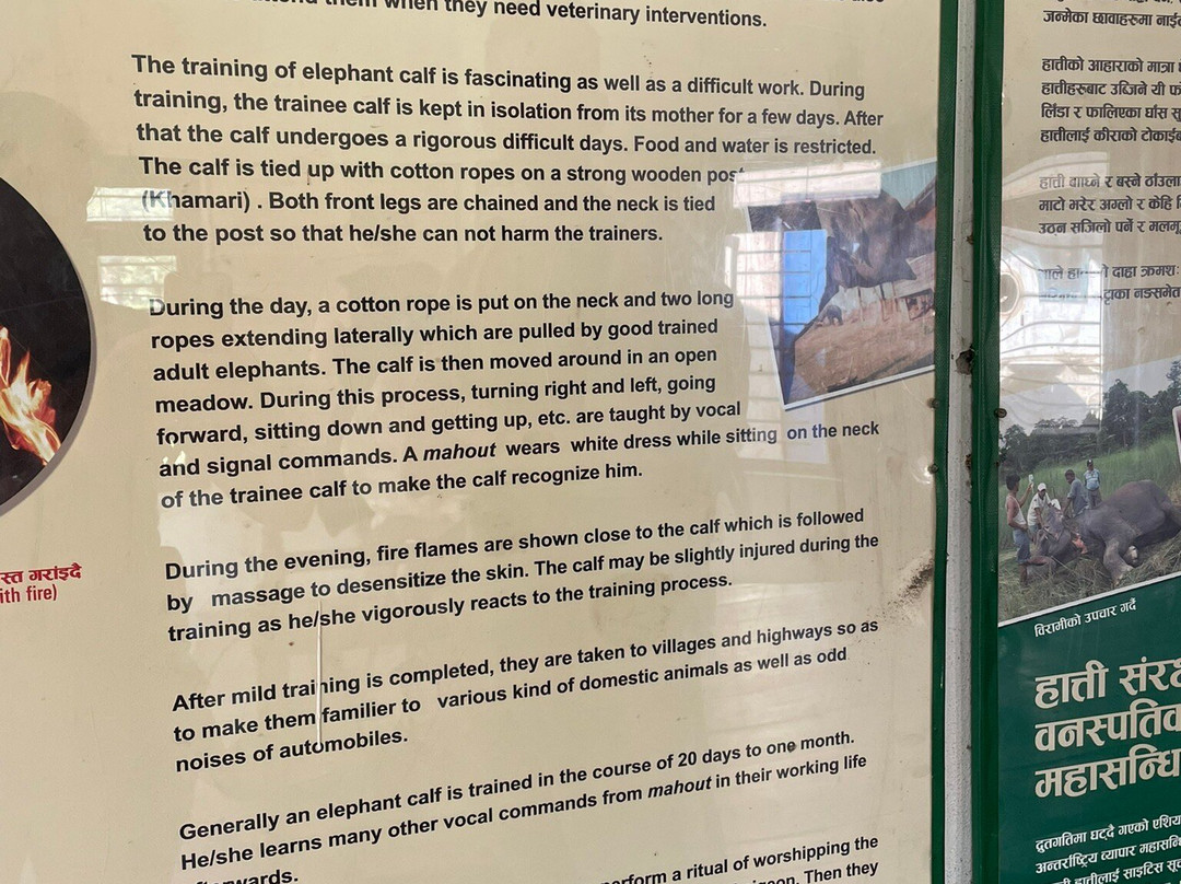 Elephant Breeding Centre-苏拉哈必去景点