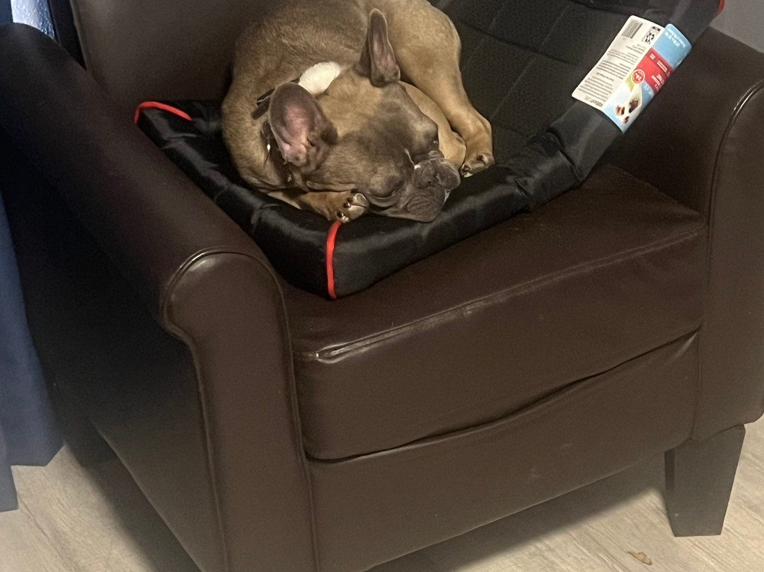 Travelodge by Wyndham Las Vegas NM主图