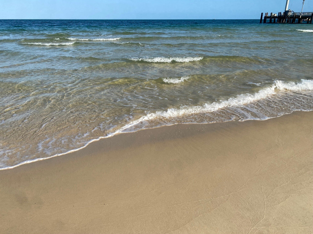 Tangalooma Wild Dolphin Feeding Program-天阁露玛必去景点
