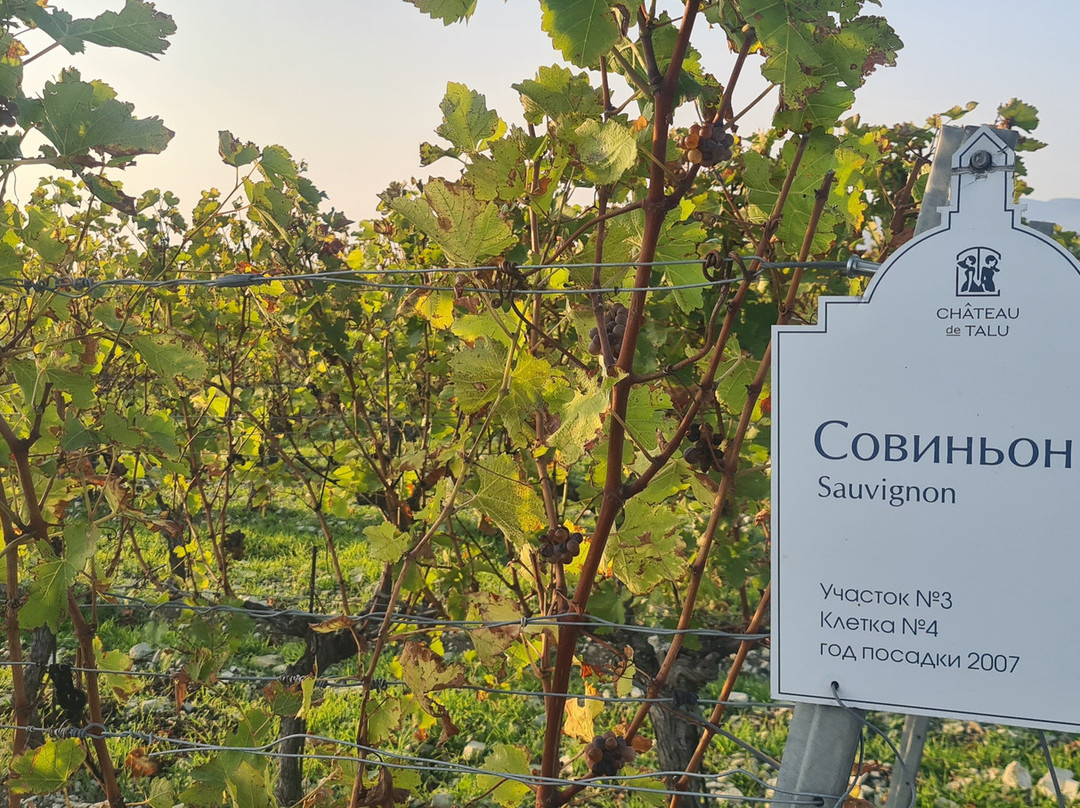 Château de Talu-Gelendzhik必去景点