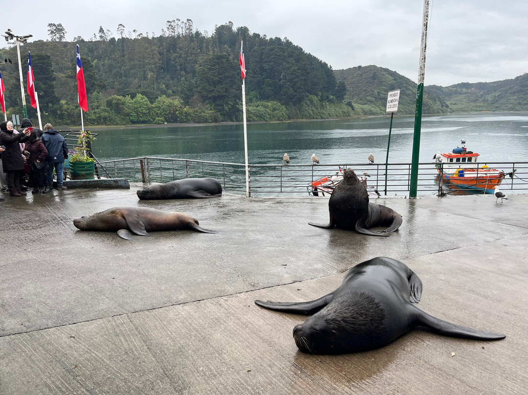 Angelmo-蒙特港必去景点