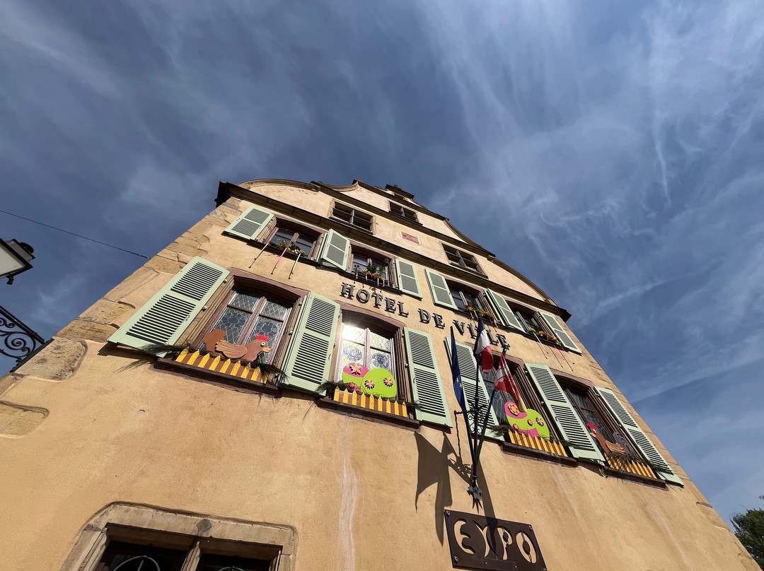 Hotel de Ville (Mairie)-图克汉必去景点