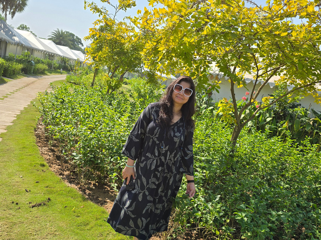 The Fern Seaside Luxurious Tent Resort Daman主图