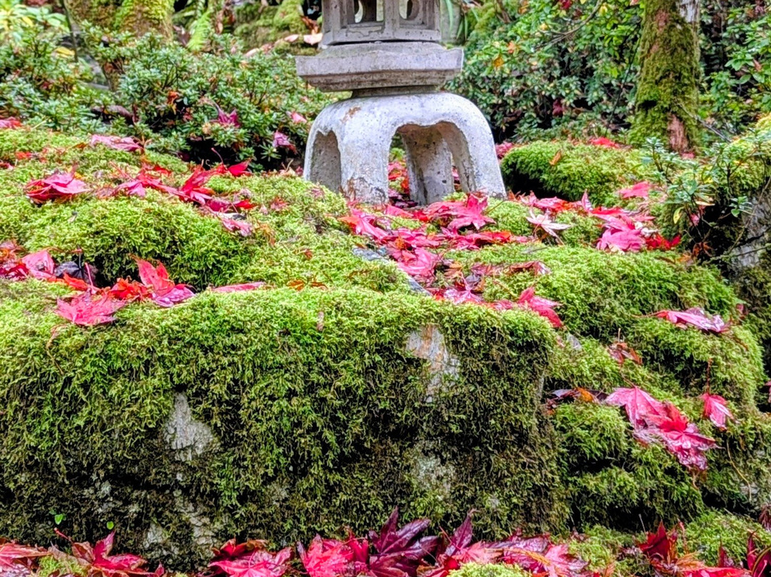The Japanese Garden-St. Mawgan必去景点