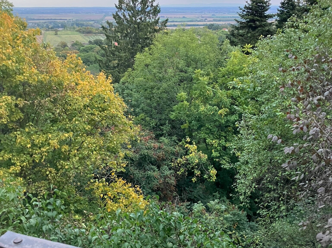 Pannonhalma Tapintható Térképe-Pannonhalma必去景点