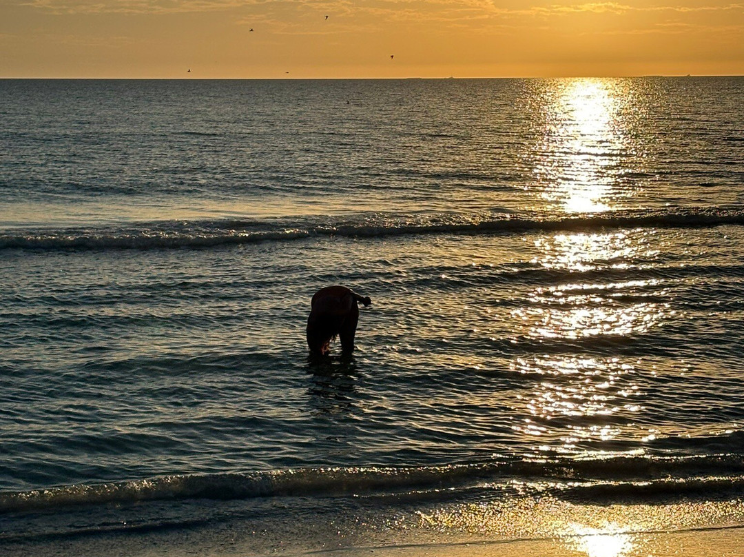 North Redington Beach-North Redington Beach必去景点