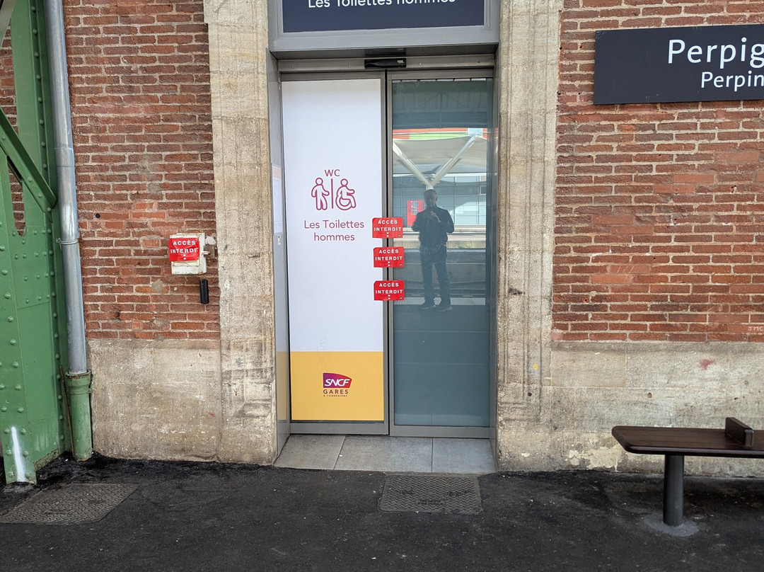 Estacion de Trenes de Perpignan-佩皮尼昂必去景点