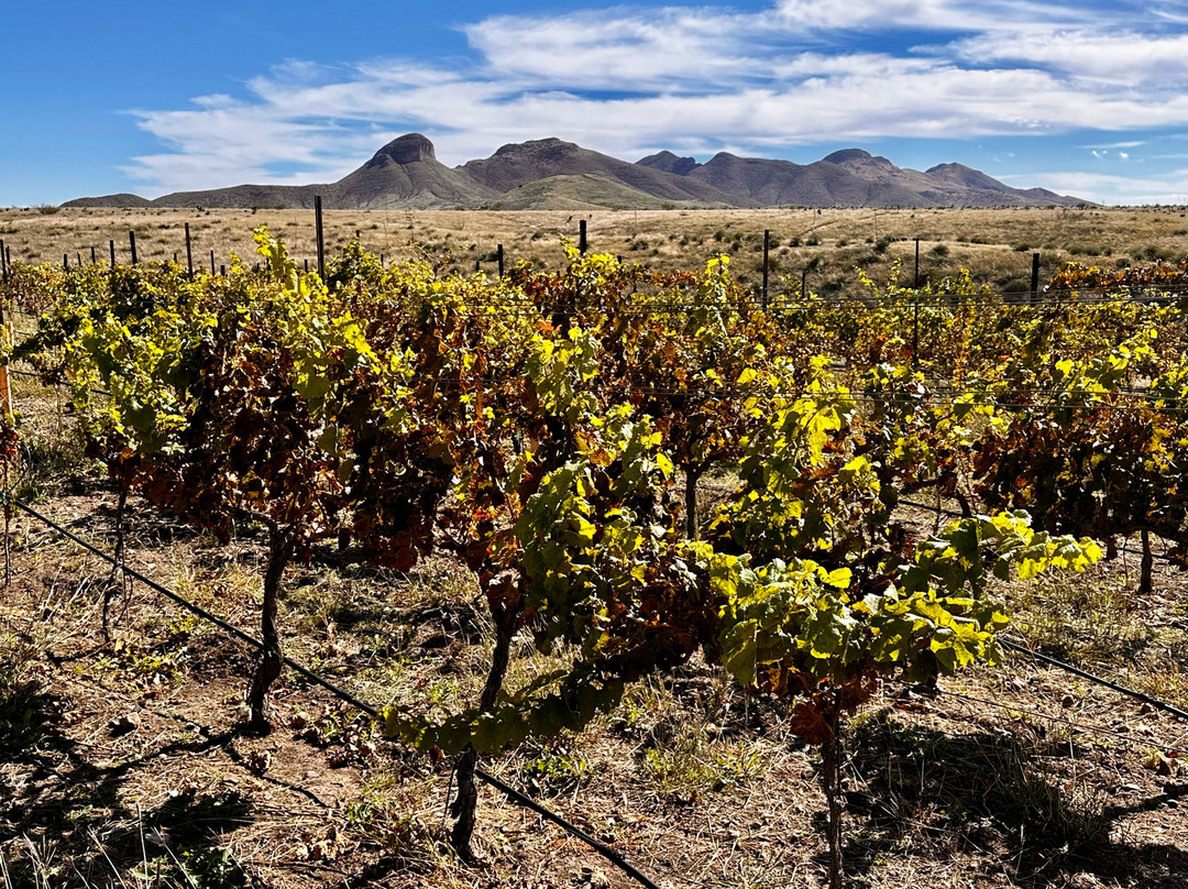 Rune Wines-Sonoita必去景点