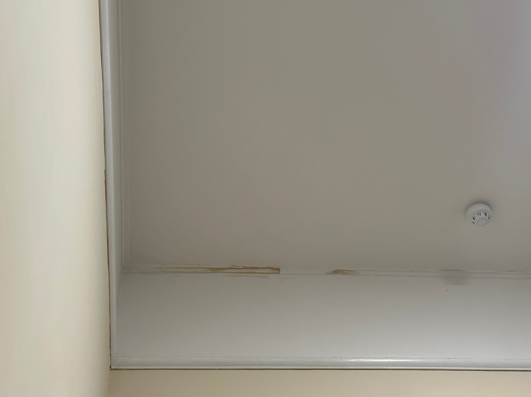 The Royal Hotel主图