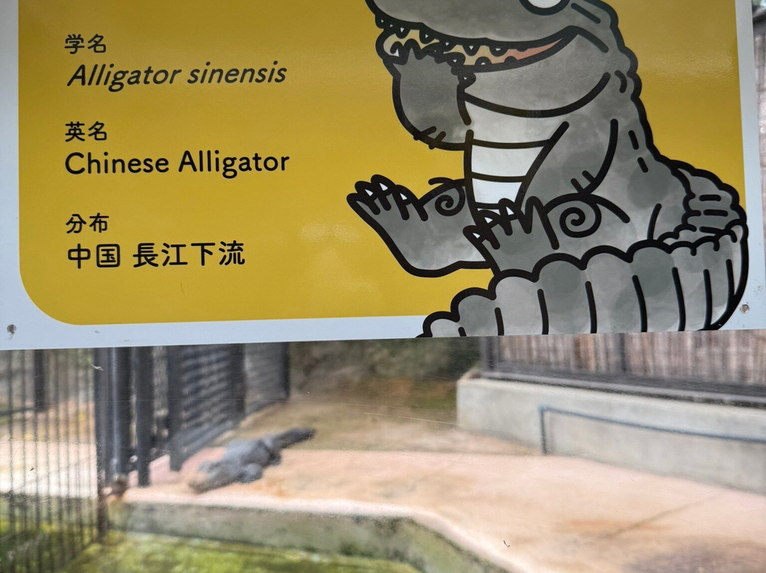 Atagawa Tropical & Alligator Garden-东伊豆町必去景点