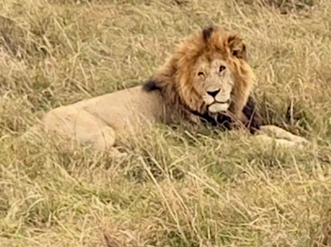 Long Way Expeditions-阿鲁沙必去景点