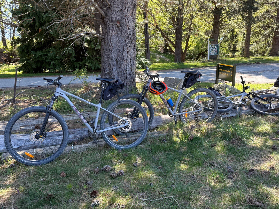 Escape by Cycle-皇后镇必去景点