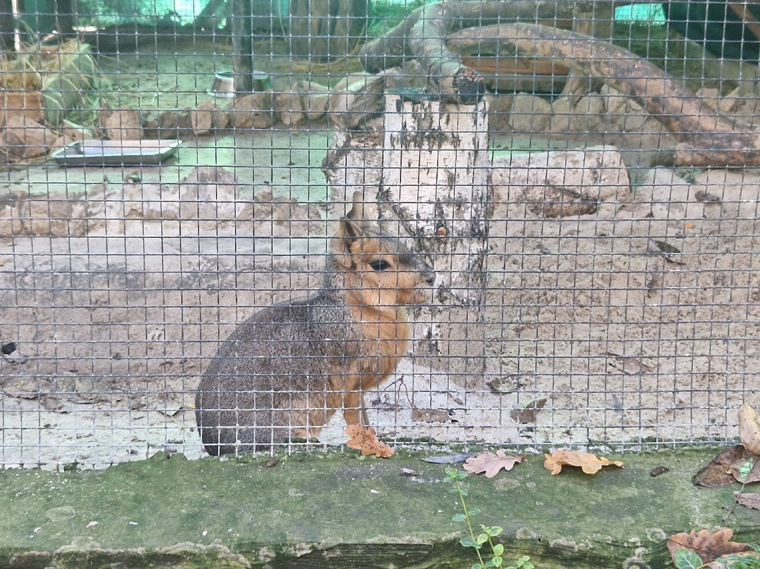 Chisinau Zoo-基希讷乌必去景点