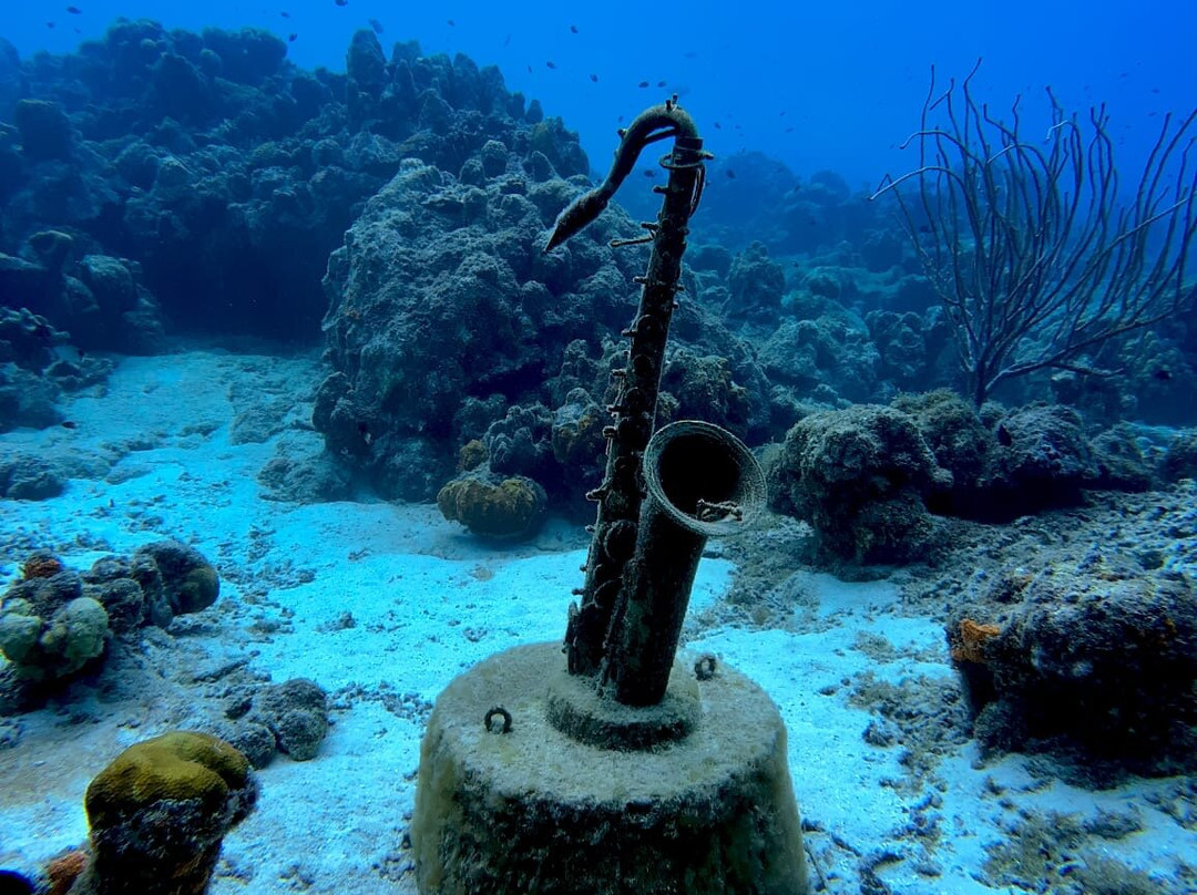 Fundiving Curacao-威廉斯塔德必去景点