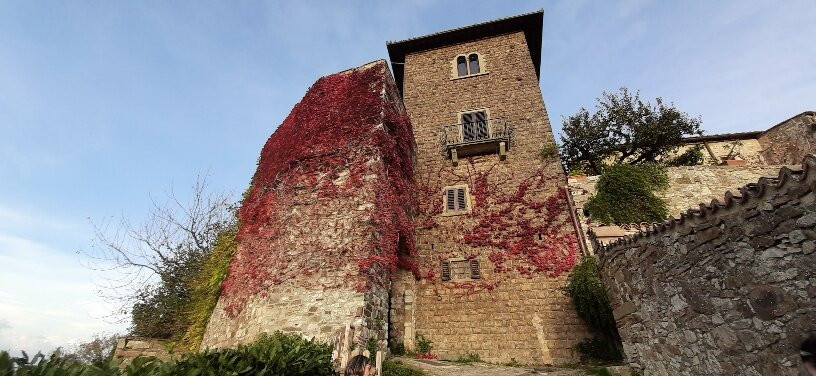 Castello di Montefioralle-格雷韦伊恩基亚恩蒂必去景点