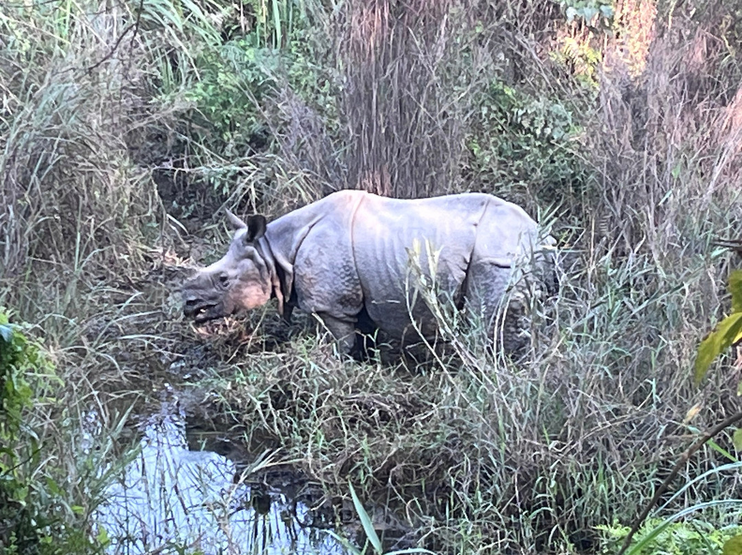 CAN Travels-博卡拉必去景点