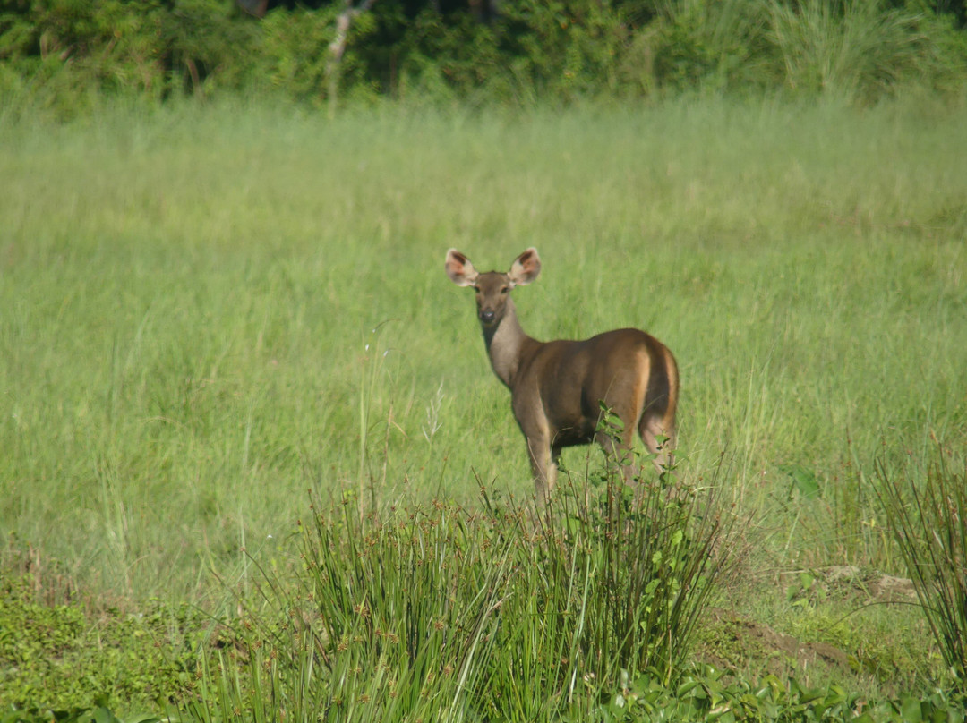 Himalaya Sunrise Treks And Expedition Pvt.Ltd-加德满都必去景点