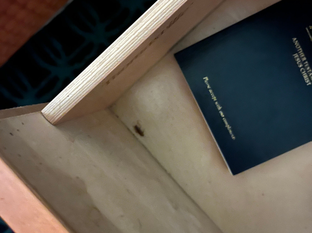 克莱蒙费尔菲尔德客栈&套房酒店主图