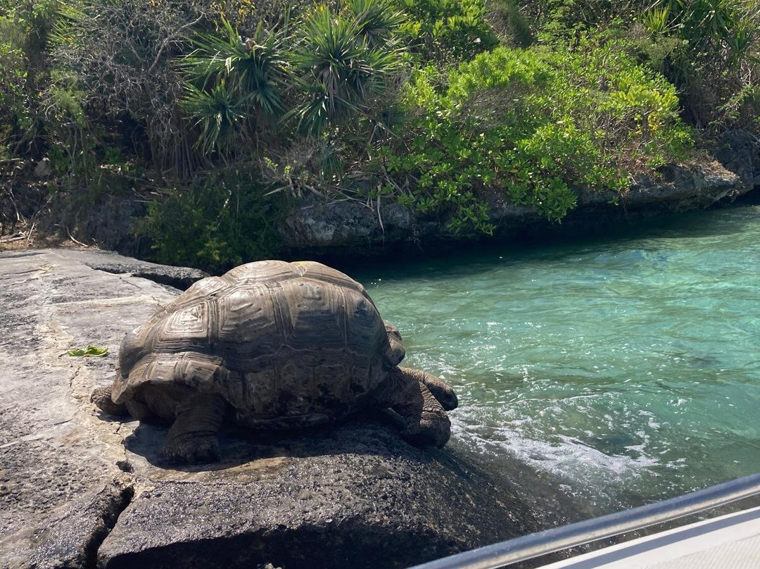 One Love Co Ltd.-毛里求斯必去景点