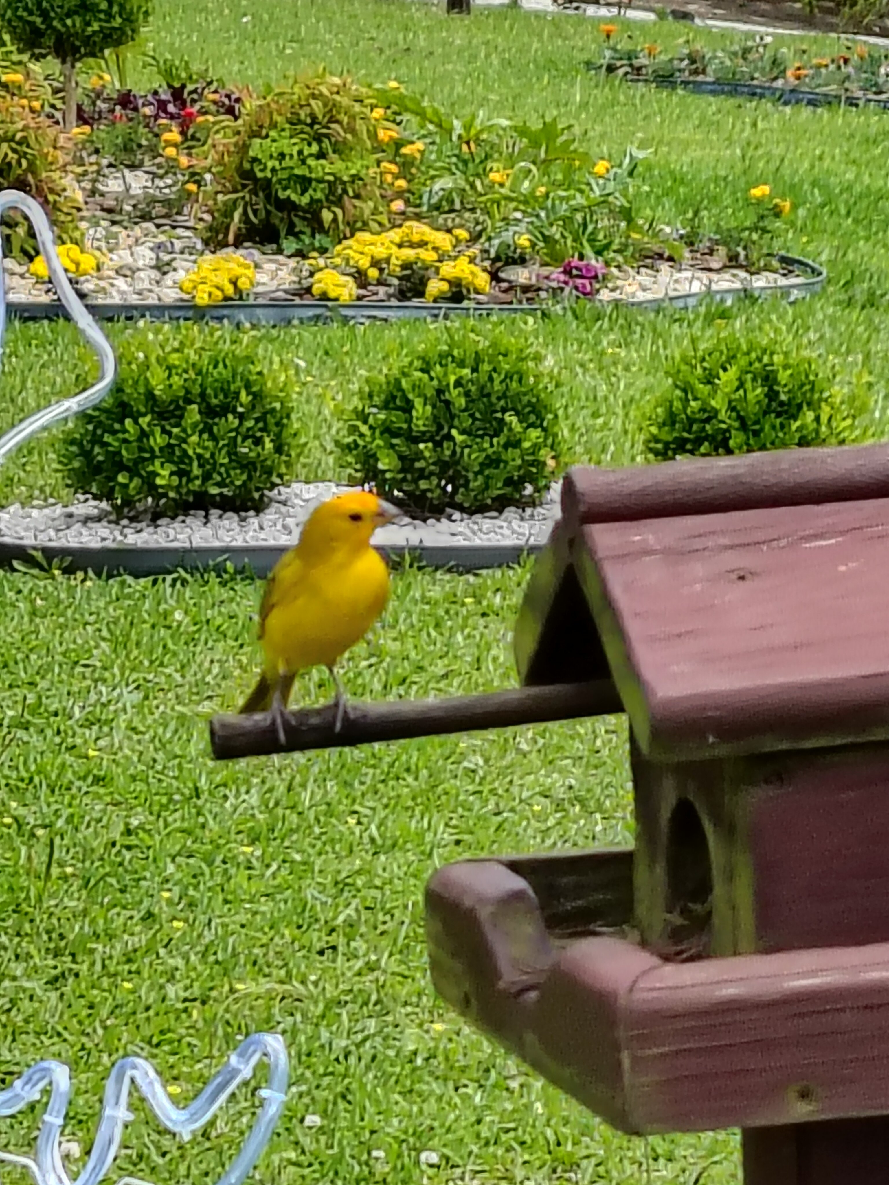 Sesc Pousada Rural em Lages-官方