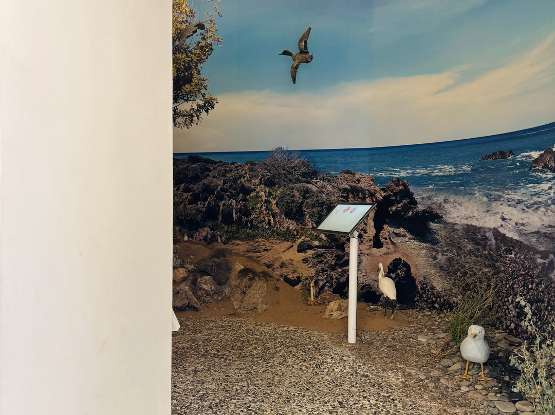 Akamas Avifauna And Flora Visitor Centre-卡西卡斯必去景点