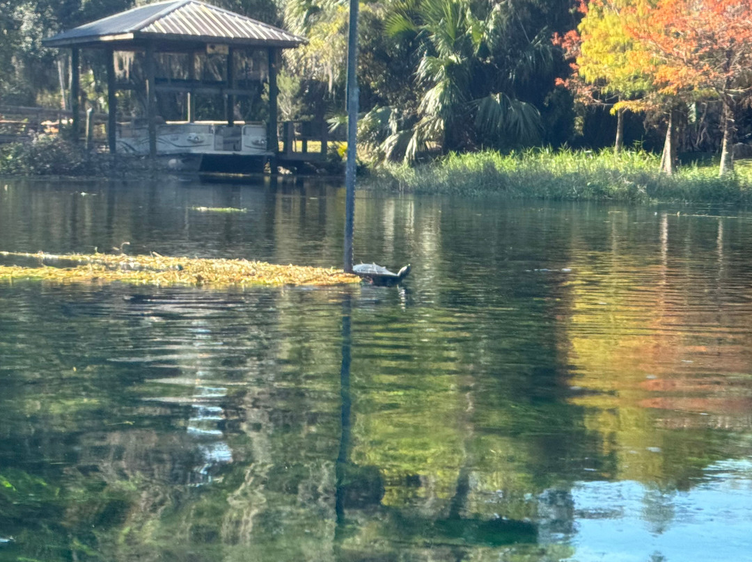Rainbow River Kayak Adventures-Dunnellon必去景点