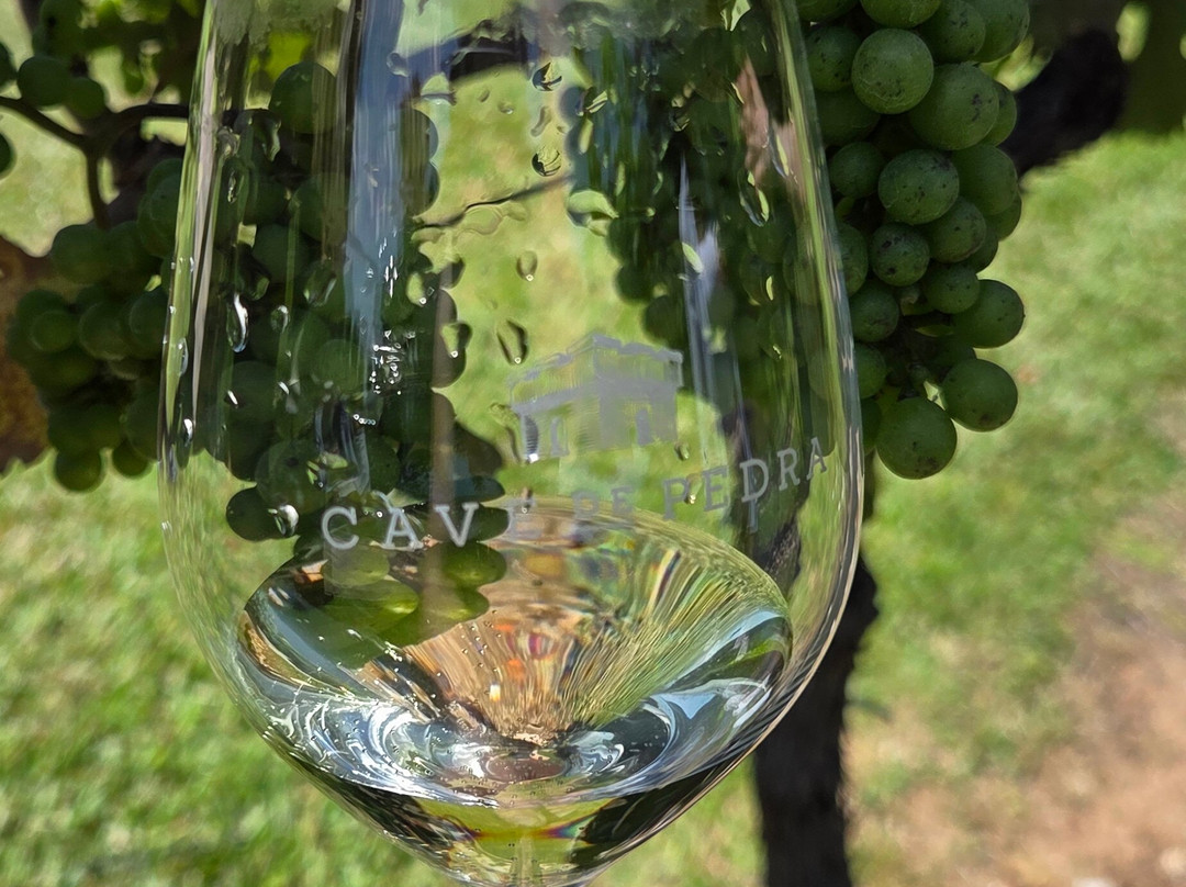 Vinícola Cave De Pedra-本图贡萨尔维斯必去景点