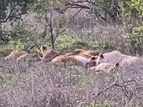 Moafrika Tours-霍德斯普鲁特必去景点