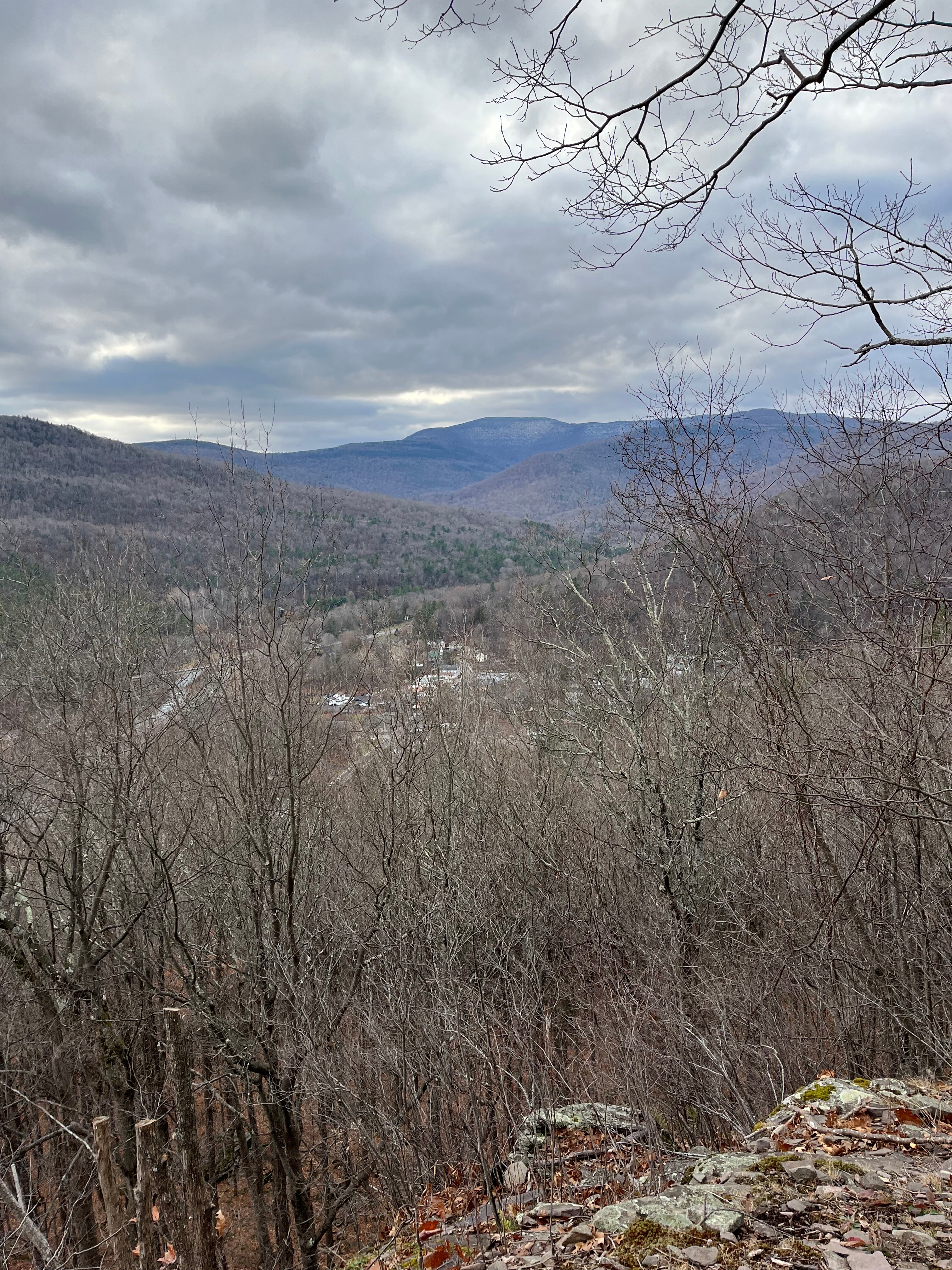 Phoenicia Lodge-官方