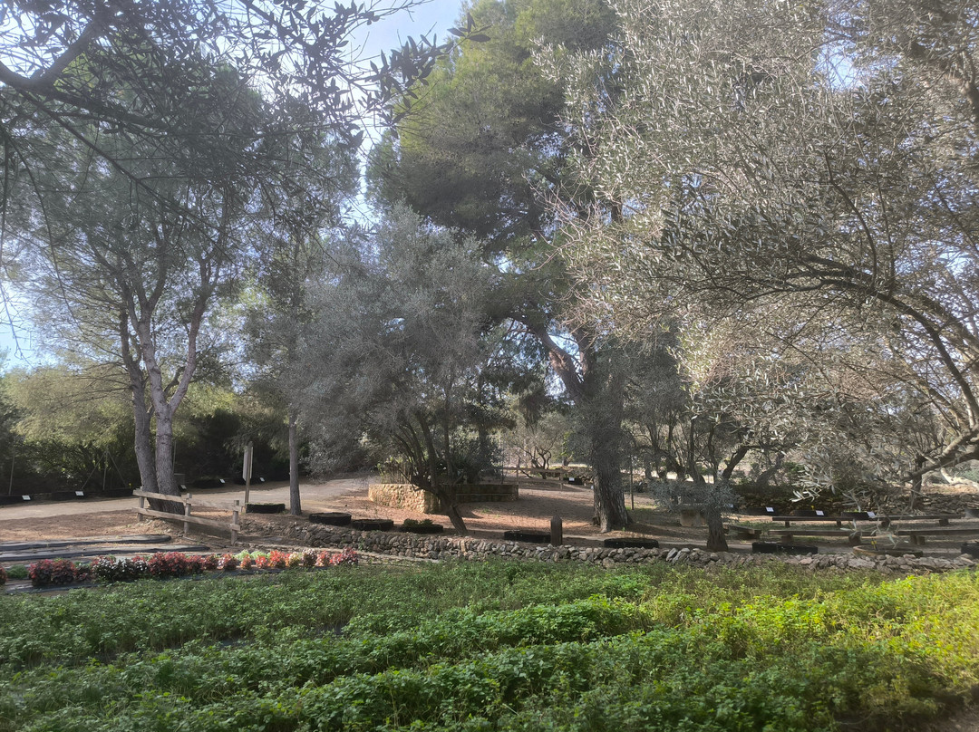 Botanical Garden Ecoherbes Park-L'Ampolla必去景点