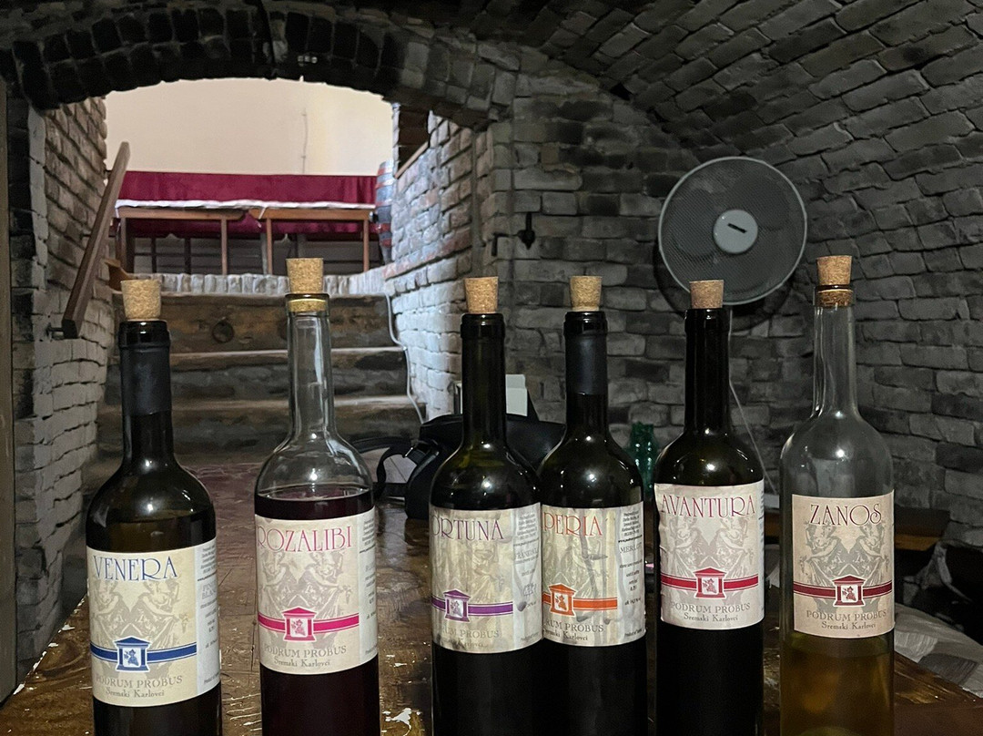 Podrum Probus-Sremski Karlovci必去景点