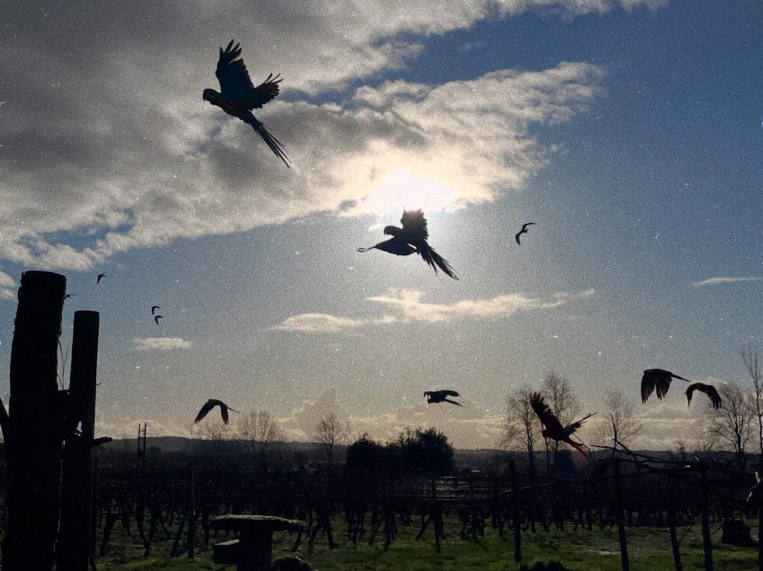 Wild Zoological Park-Bobbington必去景点