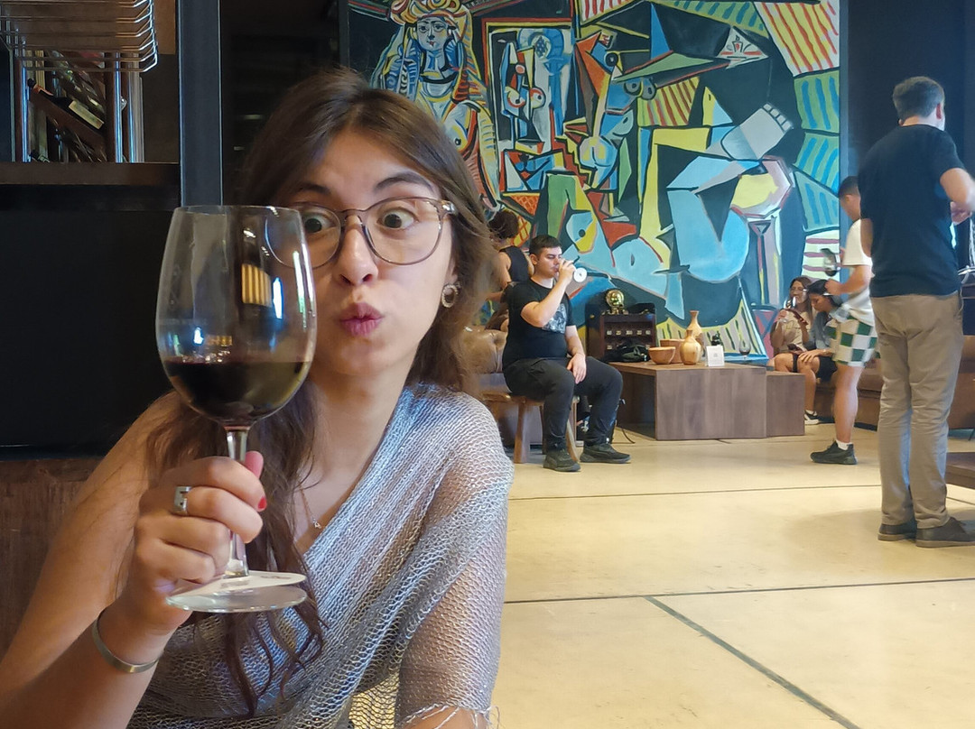 Bodega Los Toneles-门多萨必去景点