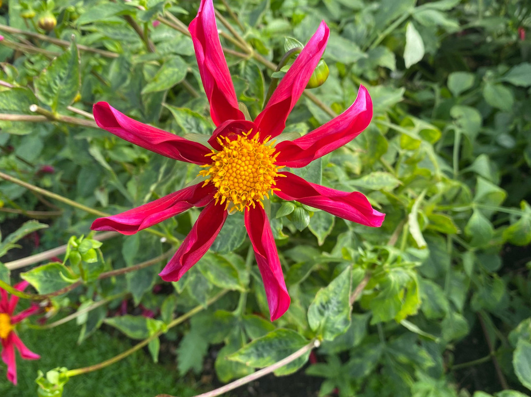 Yeo Valley Organic Garden-Blagdon必去景点