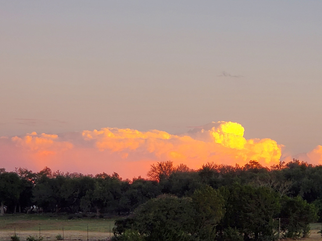 Bella Vida Bed and Breakfast主图