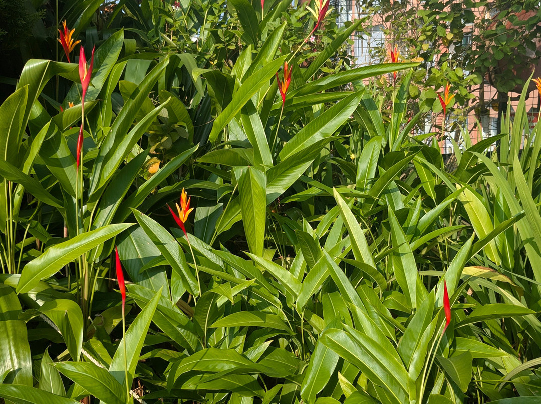 The Raviz Calicut主图