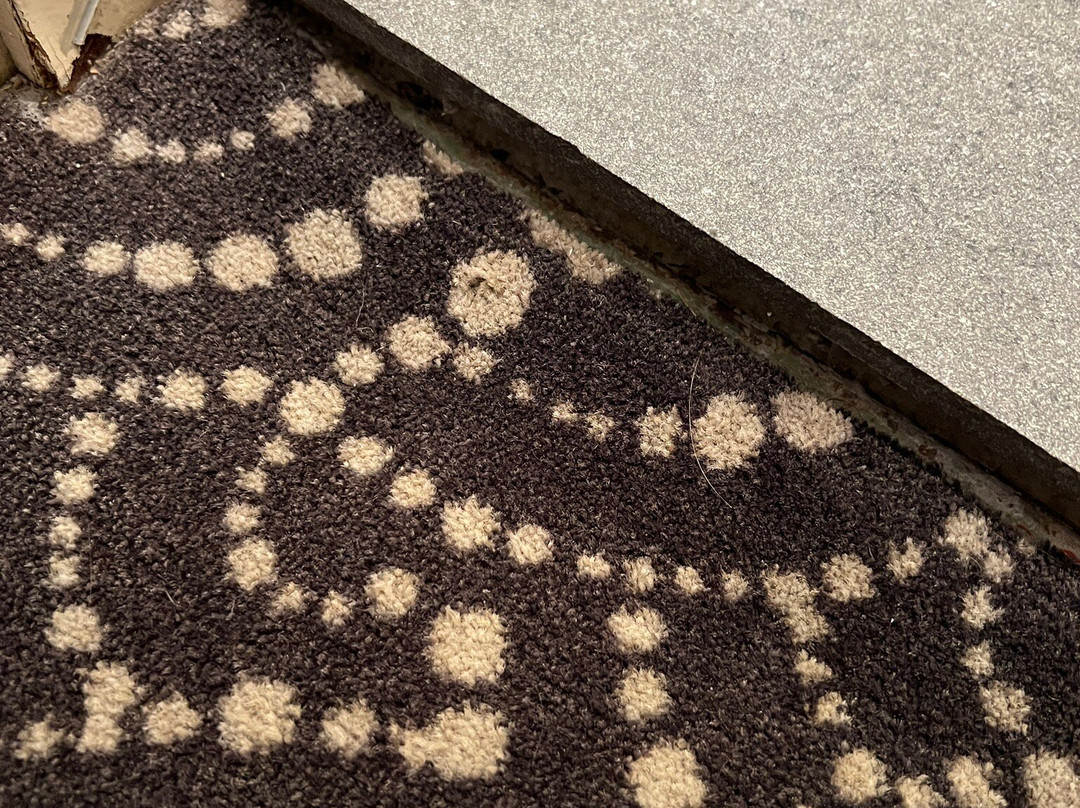 Hotel am Schelztor主图