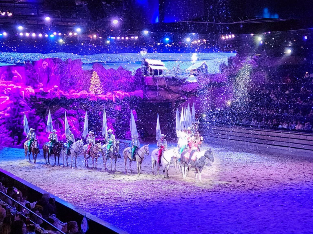 Dolly Parton's Stampede Dinner Attraction-布兰森必去景点