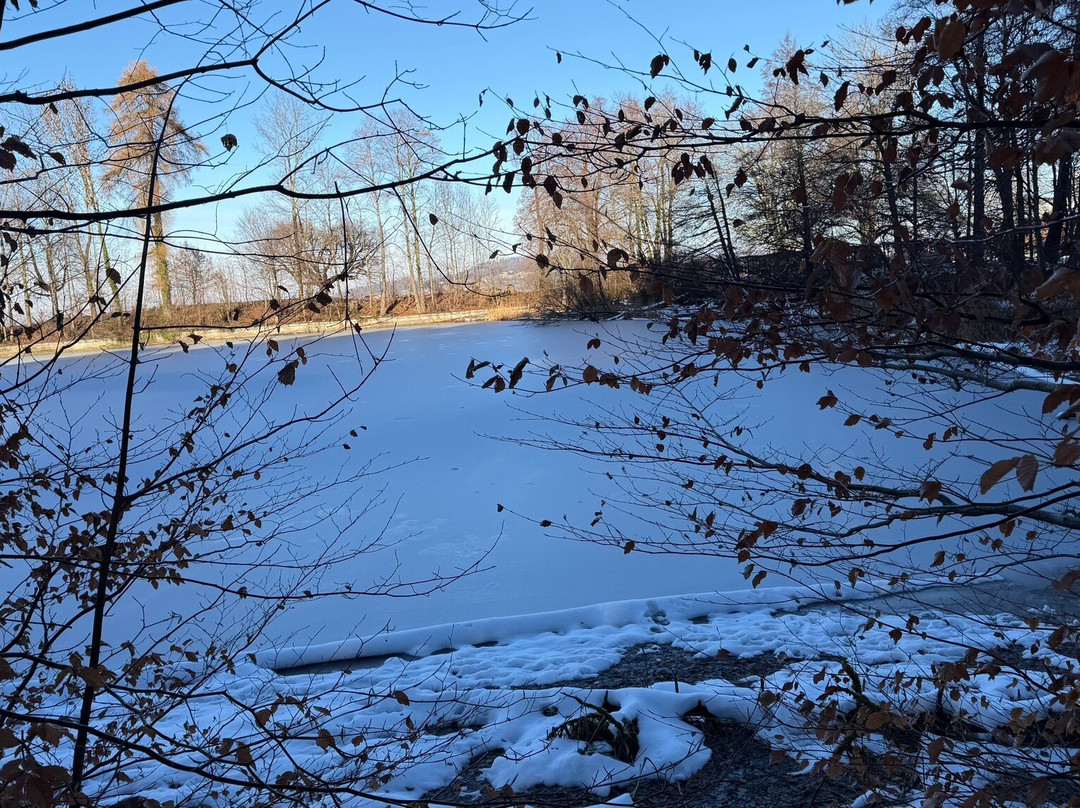 Familien- und Gemeinschaftsbad Dreilinden-圣加仑必去景点