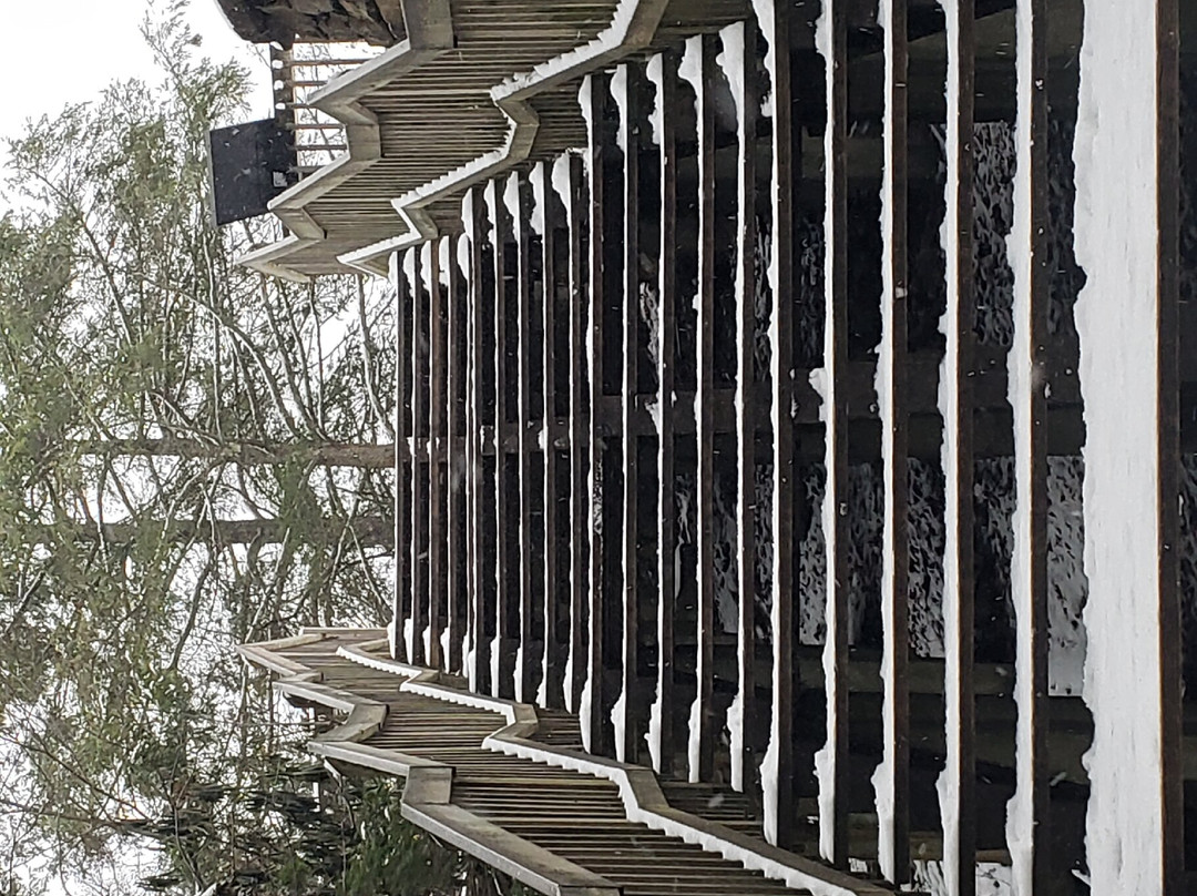 Blackwater Falls State Park-戴维斯必去景点