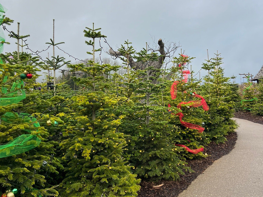 Lilidorei At The Alnwick Garden-阿尼克必去景点