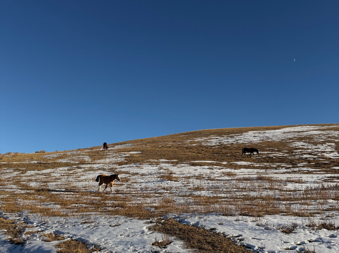 Song-Kol Travel-比斯凯克必去景点