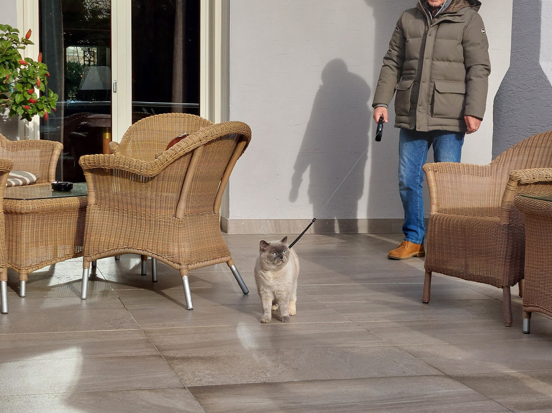 Hotel Meranerhof主图