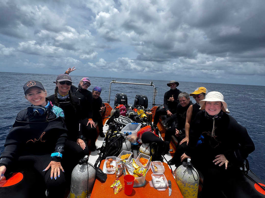 SAFARI, DRIVE & DIVE TOURS-Inhambane必去景点