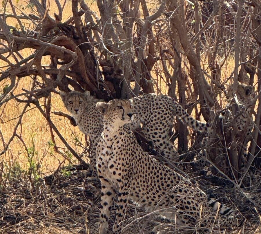 Altezza Travel-莫西必去景点