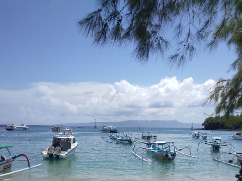 Nico Dives Cool - Day Tours-沙努尔必去景点